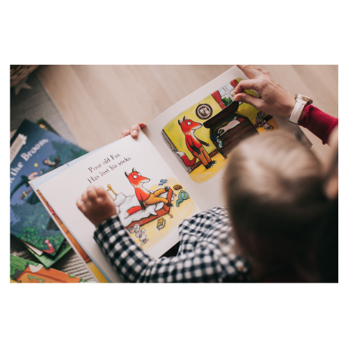 Bilderbücher in der Grundschule. Bilderbücher richtig im Unterricht der Grundschule einführen